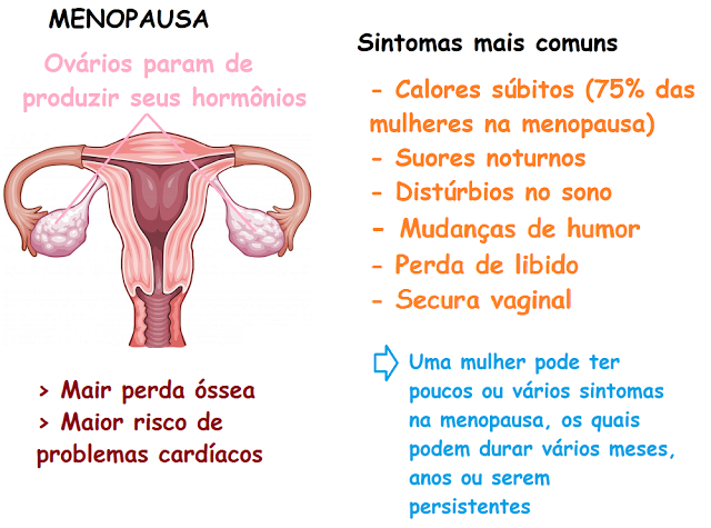 sintomas da menopausa